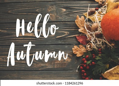 85,453 Hello Autumn Images, Stock Photos & Vectors 