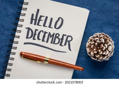 Hello December - handwriting in a notebook with a frosted pine cone, workspace business flat lay