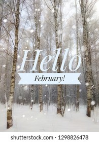 Привет февраль видео. Hello февраль. Hello February картинка. Привет февраль. Хелло февраль открытка.