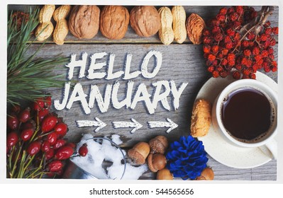 Hello January composition of different nuts, berries, fir branch