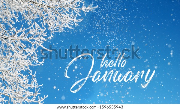 Hello January Snowy Sky Falling Snow Stock Photo (Edit Now) 1596555943