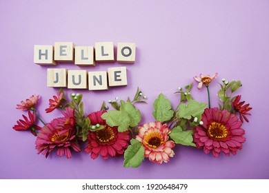 Hello June alphabet letters with pink flower decoration on purple background - Powered by Shutterstock