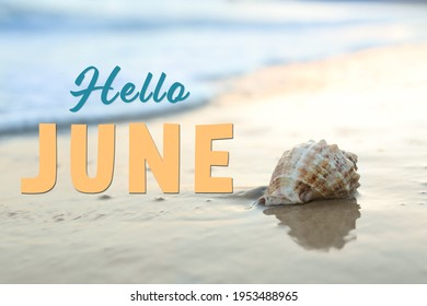 Hello June. Beautiful seashell on sandy beach - Powered by Shutterstock
