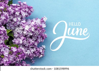 Hello June hand lettering card. Summer lilac flowers on blue background.
