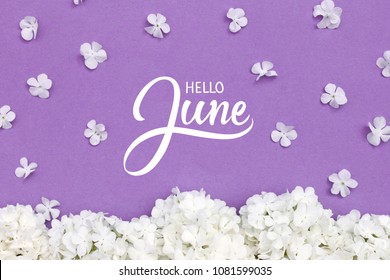 Hello June Hand Lettering Card. Summer Flowers On Violet Background.