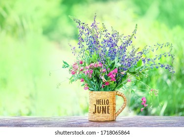 Hello June. meadow flowers in cup  on wooden table in garden, green natural background. Summer season concept. beautiful floral composition. copy space