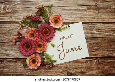 Hello June typography text with flowers on wooden background