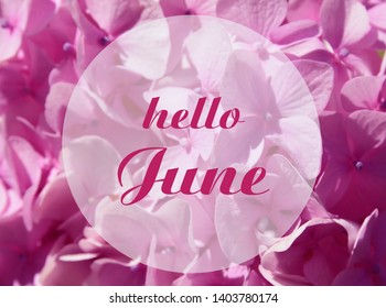 Hello June Welcoming Card Hand Written Stock Photo 1403780174 ...