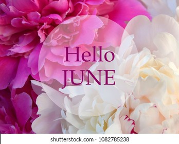 9,215 Welcome june Images, Stock Photos & Vectors | Shutterstock