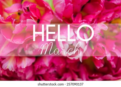 Hello March