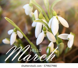 23,036 Hello march Images, Stock Photos & Vectors | Shutterstock