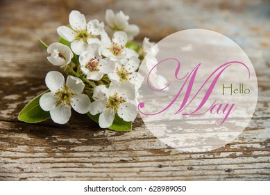 7,097 Hello may flowers Images, Stock Photos & Vectors | Shutterstock