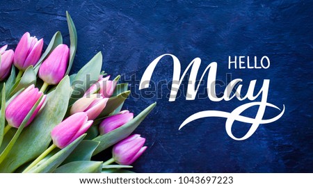 Hello May hand lettering card. Spring tulip flowers on dark blue background.