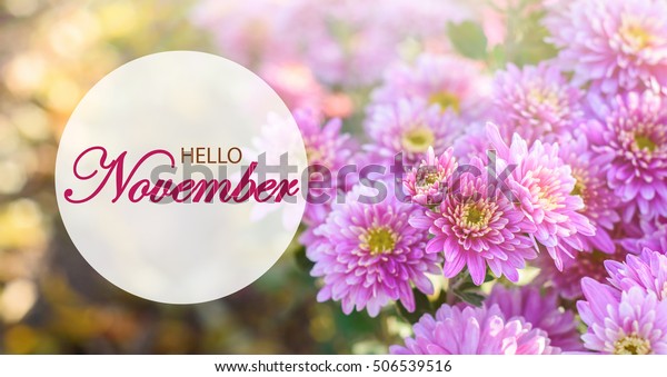 Hello November Wallpaper Wonderful Autumn Background Stock Photo (Edit