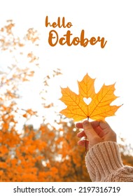 Hello October. Autumn Yellow Maple Leaf With Heart Whole Shape In Hand On Abstract Natural Background. Symbol Of Golden Fall Season