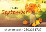 Hello September. Country landscape with calendula flowers in sunlight. Autumn season background