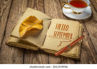 Hello September handwriting in a retro journal with decked edge handmade paper pages and a stylish pen on a rustic wooden table with a cup of tea, fall and journaling concept