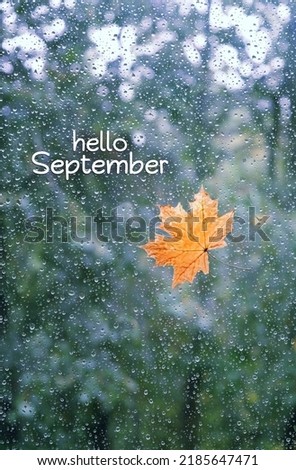 Hello September. Orange dry maple leaf on glass with rainy drops texture, abstract blurred background. fall timeconcept. symbol of autumn season