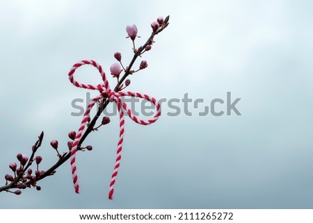 Hello spring background, March first holiday concept. Bow of red and white thread, martenitsa on blossoming branch of sakura or Japanese cherry against cloudy sky, copy space