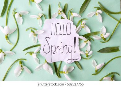 Hello spring calligraphy note decorated with snowdrops