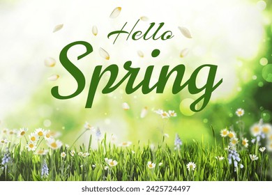 Hello Spring card design with beautiful flowers and green meadow