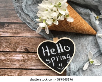 hello spring chalkboard with snowdrops in waffle cup. hello spring on chalkboard. shabby spring. girl holds a heart chalkboard for spring