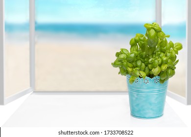 Hello spring concept. Compostion of fresh green basil herb in a blue metal pot on sunny kitchen windows sill with view on a abstract ocean background. Space for your design. - Powered by Shutterstock