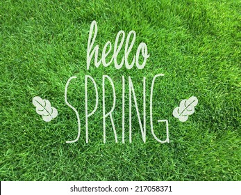 hello spring/spring/grass