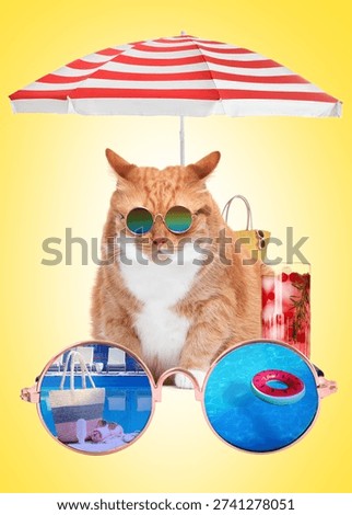 Hello summer. Cute cat with refreshing cocktails under sun umbrella and sunglasses with swimming pool reflection on yellow background