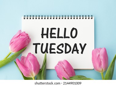 Hello Tuesday Text Pink Flower Bouquet Stock Photo 2144901009 ...