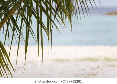 
#hellosummer #hotsummer
#summerparty
#summerbackground
#summerpattern
#summersale
#summerbanner
#summerbeach
#summersports
#summercamp
#summerlogo
#summertravel
#summerclipart
#summerfestival
#summer