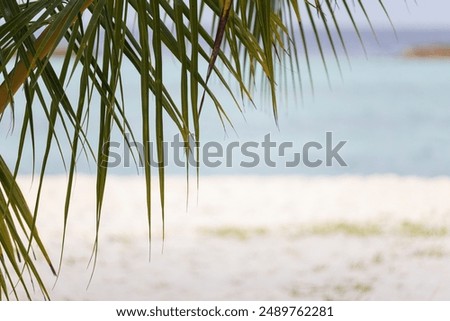 
#hellosummer #hotsummer
#summerparty
#summerbackground
#summerpattern
#summersale
#summerbanner
#summerbeach
#summersports
#summercamp
#summerlogo
#summertravel
#summerclipart
#summerfestival
#summer