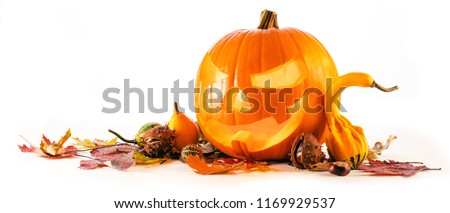 Helloween Pumpkin Head 