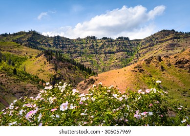 Hells Canyon National Recreation Area