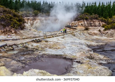 Hells Gate Geothermal Park, Rotorua, North Island Of New Zealand