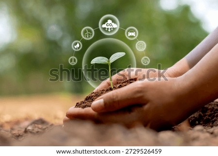 Help reduce global warming by planting trees: a natural way to absorb carbon and increase oxygen levels.