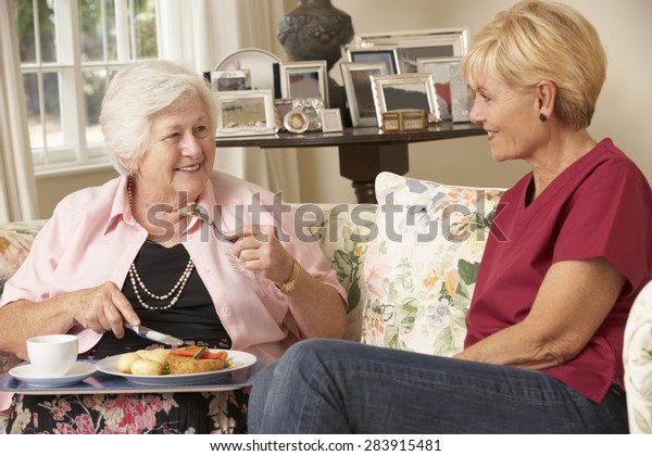 Helper Serving Senior Woman Meal Care Stock Photo 283915481 | Shutterstock