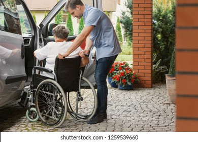 Helpful Male Nurse With Senior Lady On Wheelchair Helping Her Get In To The Car