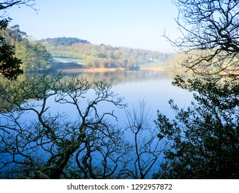 Helston Loe Pool In Winter, Cornwall, England, UK.