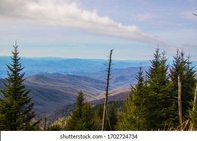 Hemlock trees and mountain view near Clingmans Dome