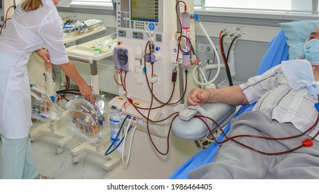 Hemodialysis And Nephrology, A Medical Ward For Hemodialysis 