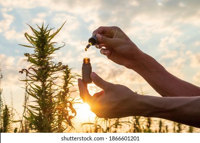 Hemp Farmer Holding Cbd Oil Made Of Cannabis Sativa Plant In A Dropper And Bottle.