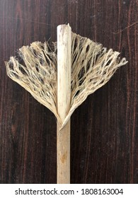 Hemp Fiber - HempWiki - The Hemp Encyclopedia