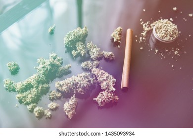 Hemp Legalisation. CBD And THC On Buds In Cannabis. Backgroun For Copy Space. Hemp Wraps For Blunt. Cannabis Buds On Black Background. Fresh Marihuana.