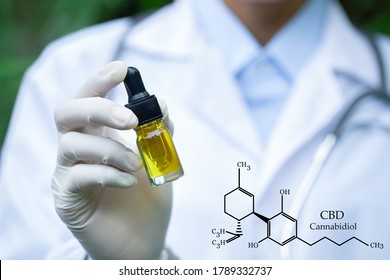  Hemp oil in doctor  hands, CBD elements in Cannabis.  cannabinoids and health, medical marijuana, 