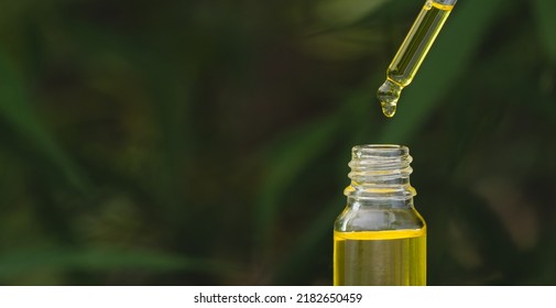 Hemp Oil DropsOil Drop, Falling In Bottle  Cannabis Extract, Concept Of Herbal Alternative Medicine, Cbd  Hemp Oil.