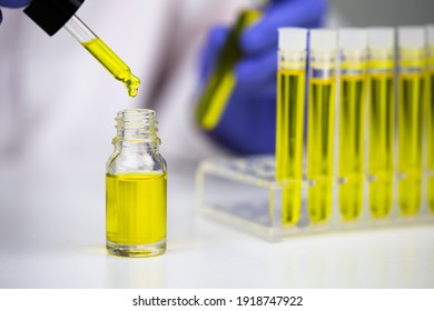 Hemp Oil Research, Researcher Holding A Dropper With Hemp Oil Product. CBD Cannabis Oil. Medical Marijuana Concept.
