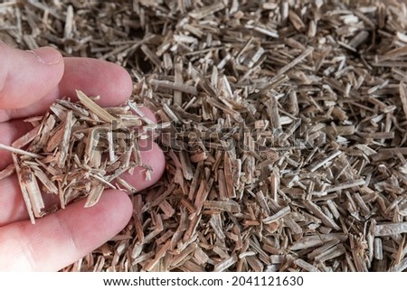 Hemp plant bed for rodents