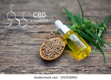  Hemp plant herbal pharmaceutical cbd oil from a jar. Concept of herbal alternative medicine, cbd oil, pharmaceutical industry