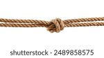 Hemp rope with knot on white background